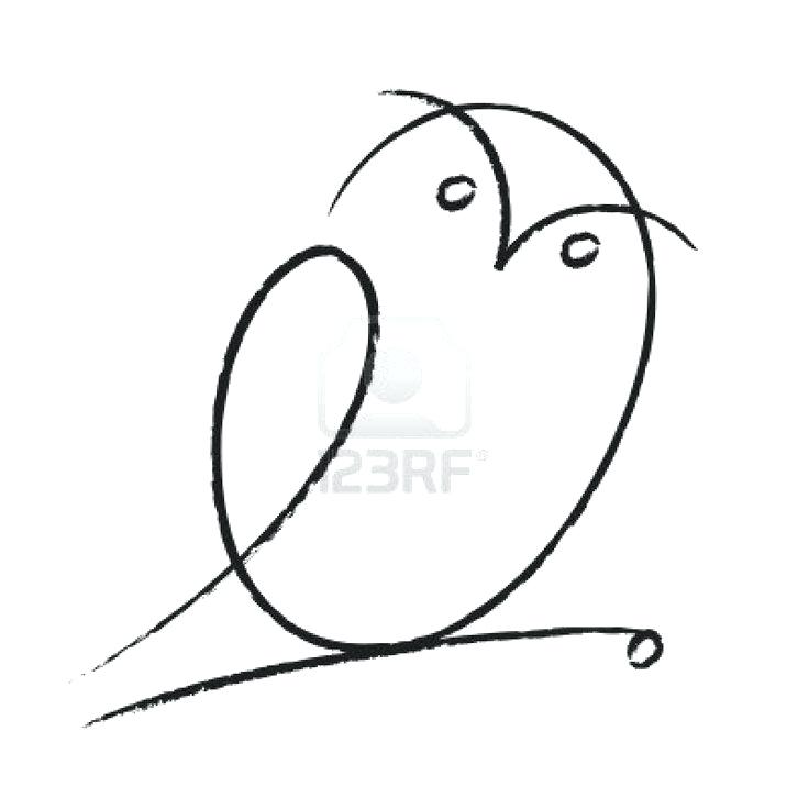736x736 Owl Simple Drawing Owl Drawing Tutorial Nip