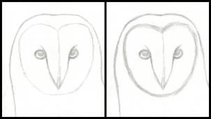 Owl Drawing Tutorial