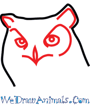 300x350 How To Draw A Great Horned Owl