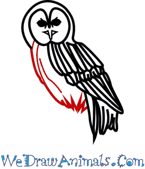 300x350 How To Draw A Tawny Owl