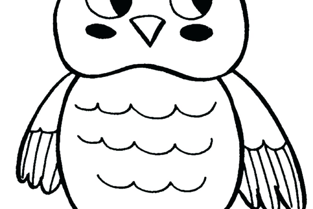 1048x699 Draw Cute Owl Draw So Cute Snowy Owl Zupa