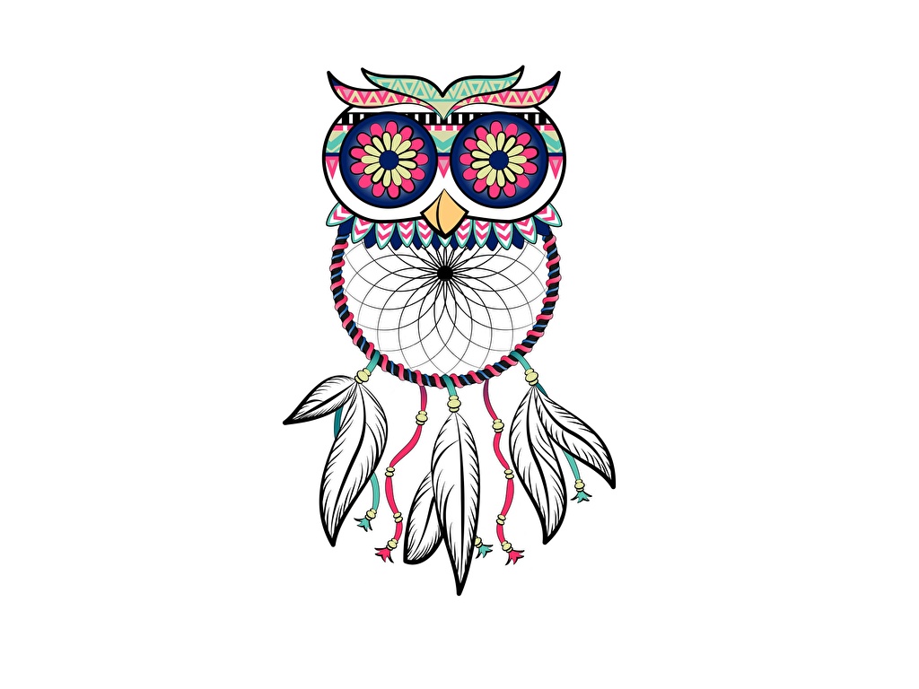 1024x768 Picture Owls Dreamcatcher White Background