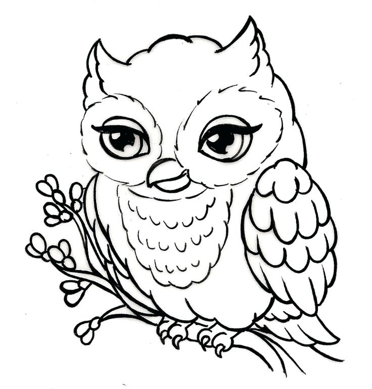 736x769 Owls Owl Doodles And Embroidery Simple Outline Drawing