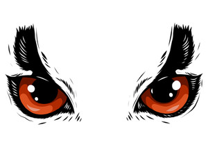 300x212 Owl Eyes Royalty Free Vectors