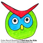 150x150 Learn How To Draw An Owl Face For Kids