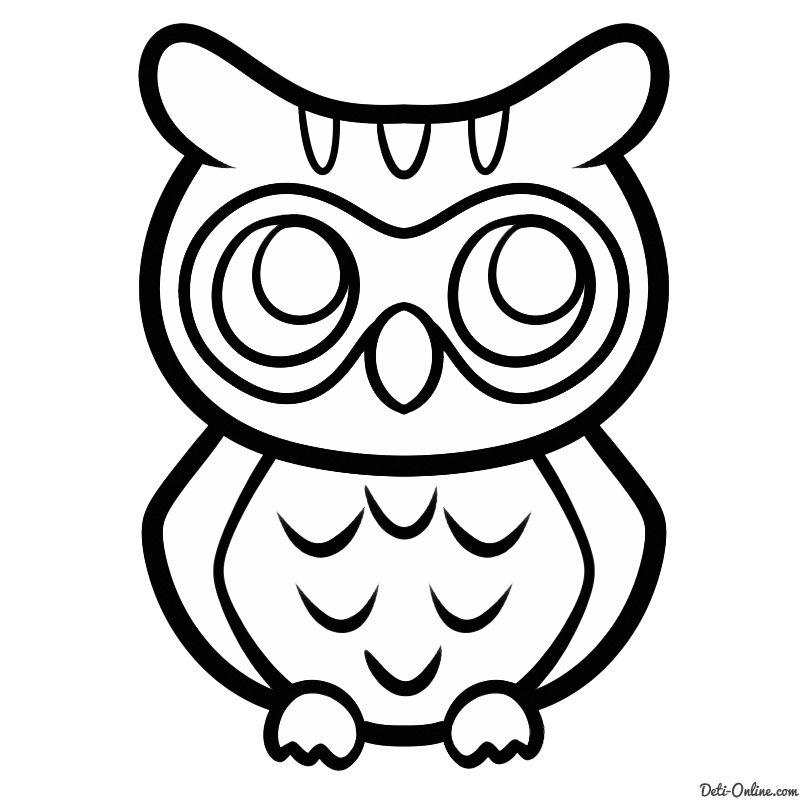 800x800 Owl Drawing Easy
