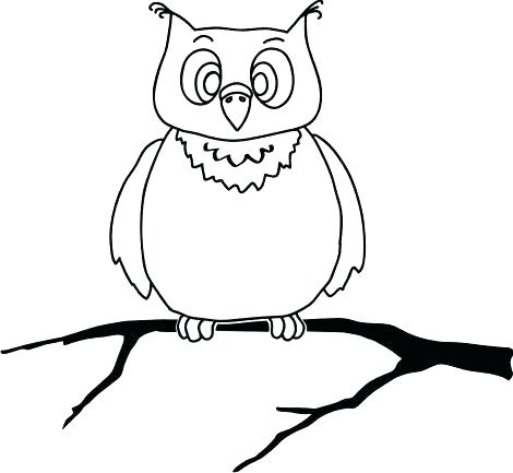 470x433 Owl Outline Drawing An Owl Face Outline Drawing
