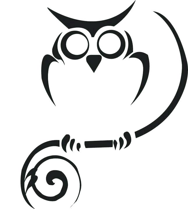 646x720 owl outline drawing owl outline owl face outline drawing