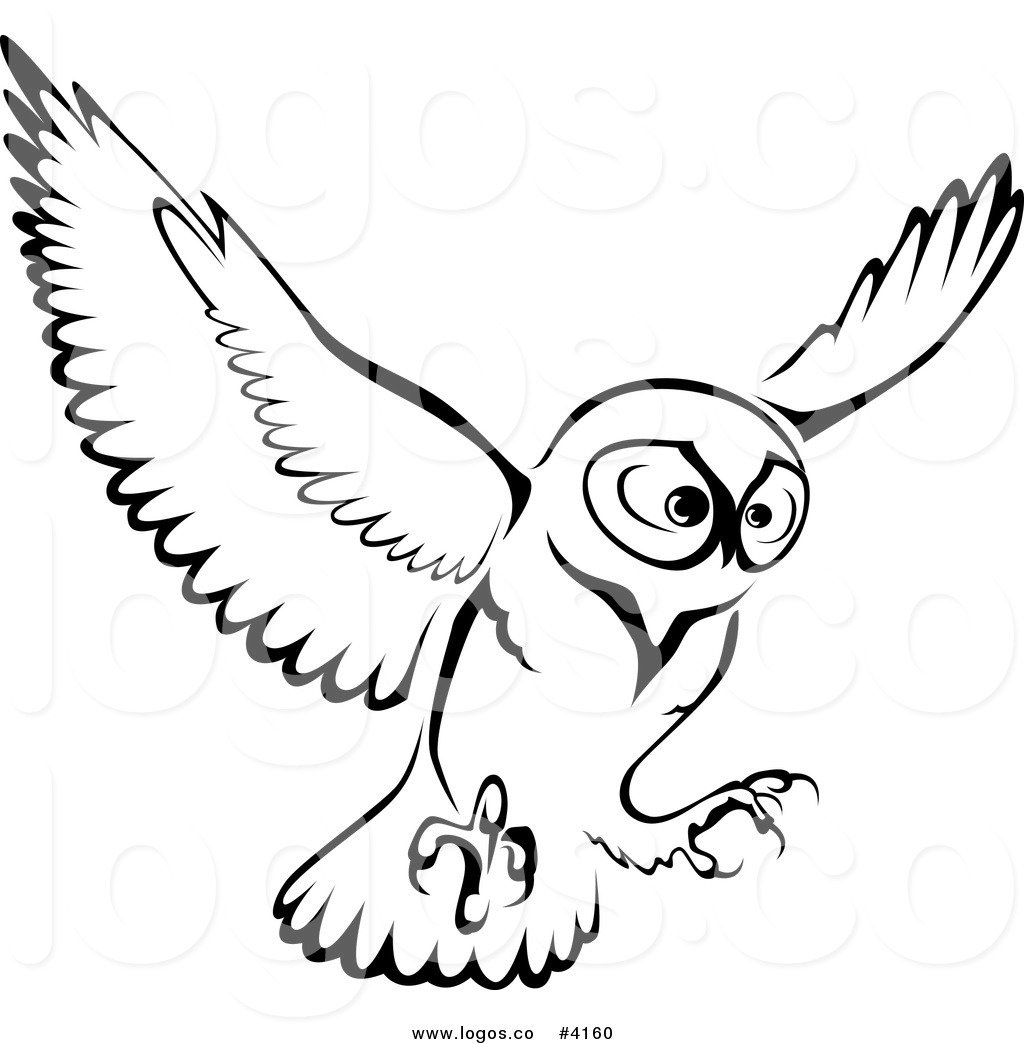 1024x1044 Pictures Of Owl Face Outline Drawing