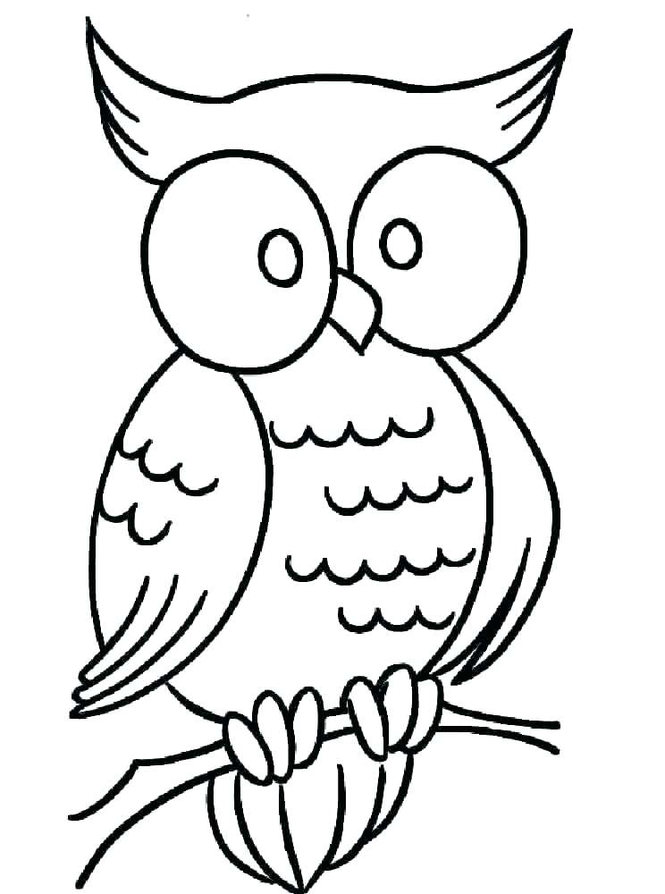 744x1000 Owl Drawing Template