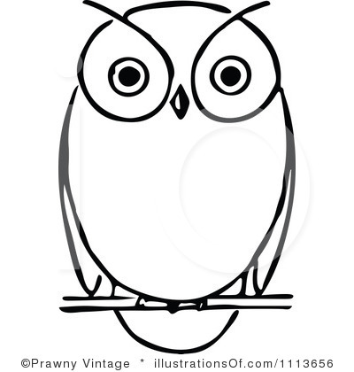 400x420 Drawing Owl Clipart