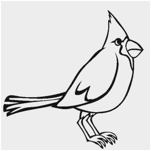 300x300 Flying Bird Coloring Pages Awesome School Owl Clipart Black