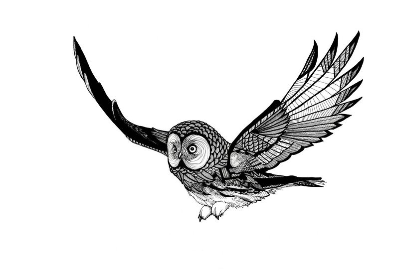 794x550 Flying Owl Etsy