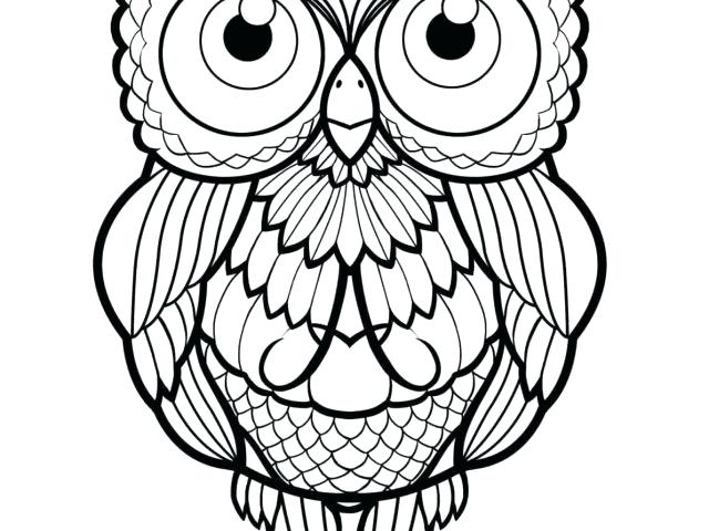 640x480 How To Draw Owls Cute Owl Drawings For Kids Draw Owls Cute