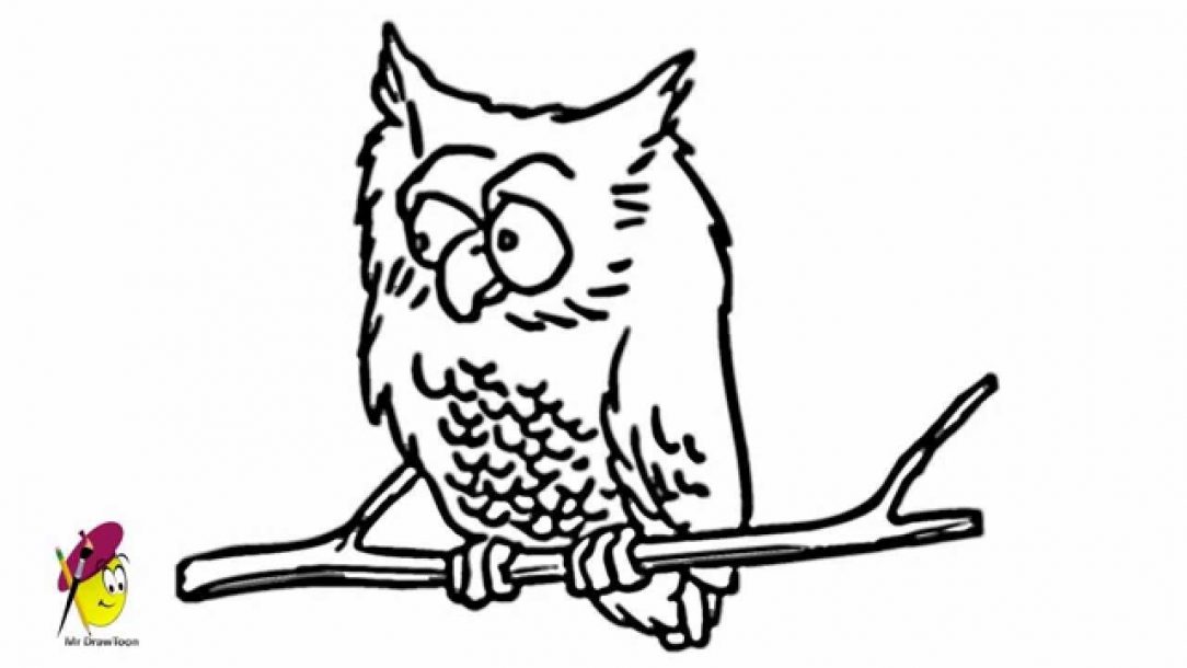 1084x610 Owl Drawing For Kids Easy Baby Angry Meme Art I Fertility