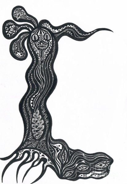 413x600 Owls Head Drawings Fine Art America