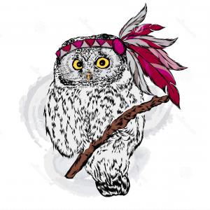 300x300 Silhouette Cute Owl Head Animal With Feathers Vector Sohadacouri