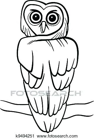 319x470 Free To Download Owl On A Tree Coloring Pages