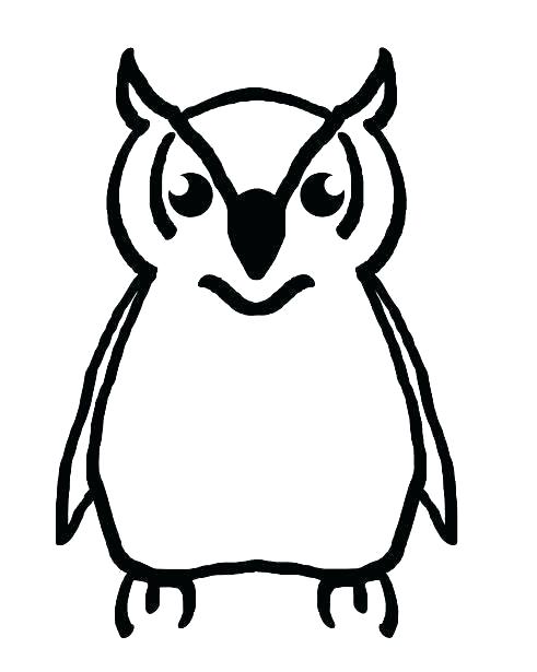 491x615 Owl Drawing Outline Best Snowy Owl Outline Drawing Zupa