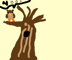 300x250 Owl In A Tree Drawing