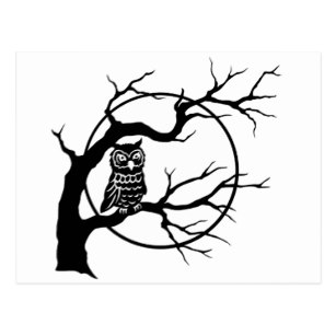 307x307 Owl Spooky Tree Postcards Zazzle