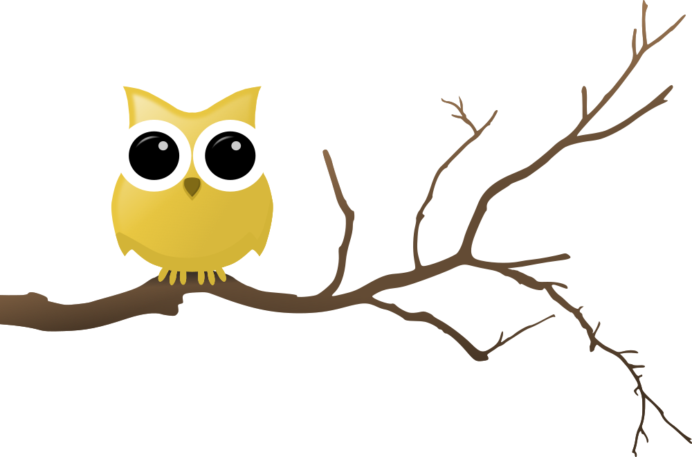 1000x660 Owl Tree Branch Transparent Png Clipart Free Download
