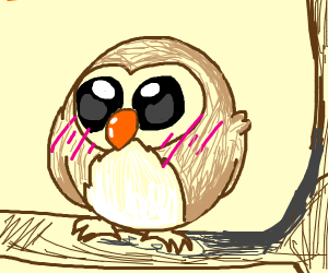 300x250 bird in a monsoon