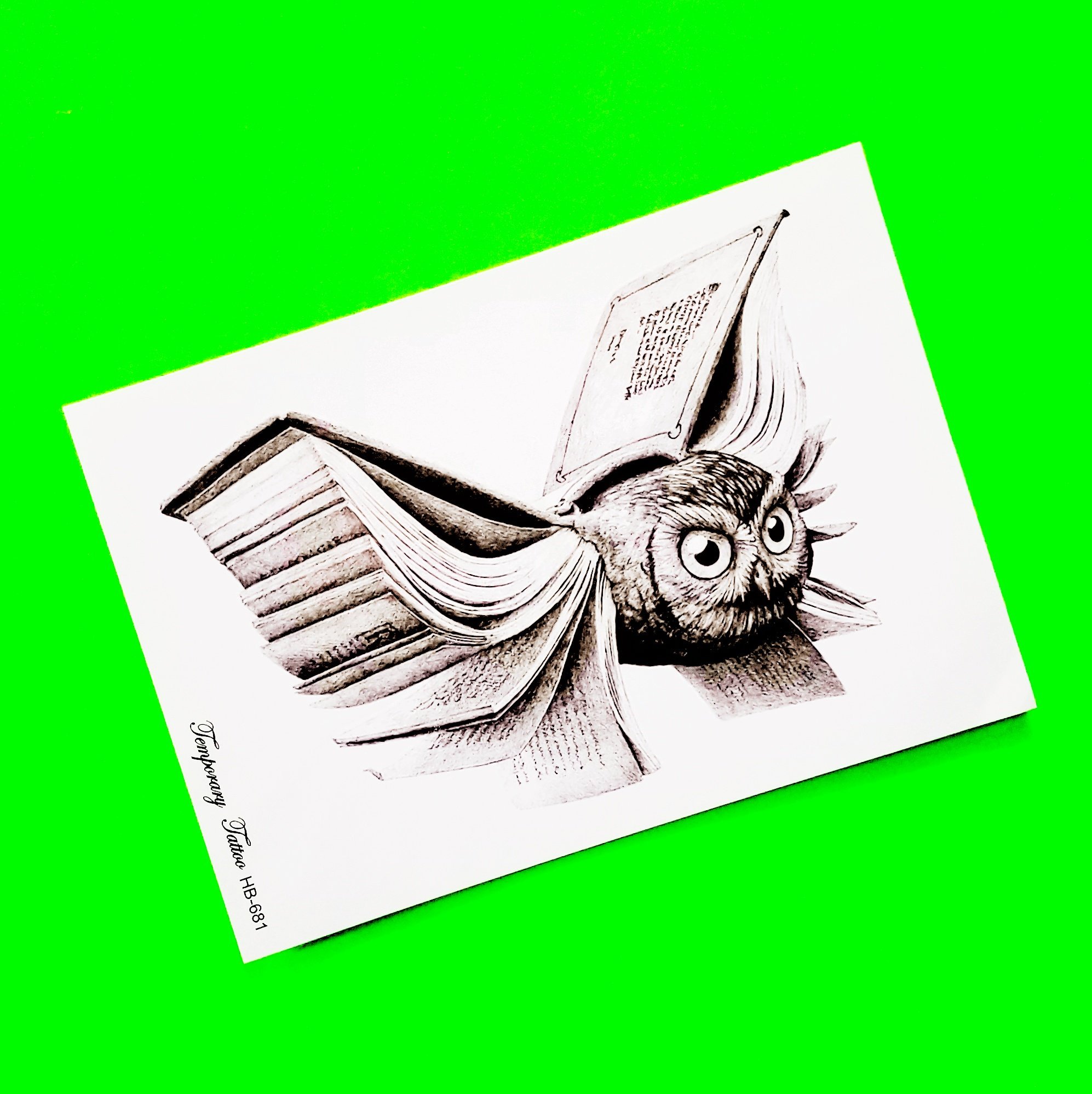 1994x1997 flight of fancy journal journey keeper of the books owl etsy