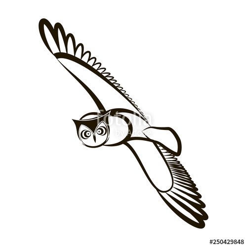 500x500 Hand Drawn Owl Opened Wings Black White Plumage Stock Image