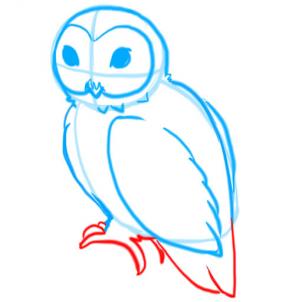 302x302 How To Draw Owls, Step