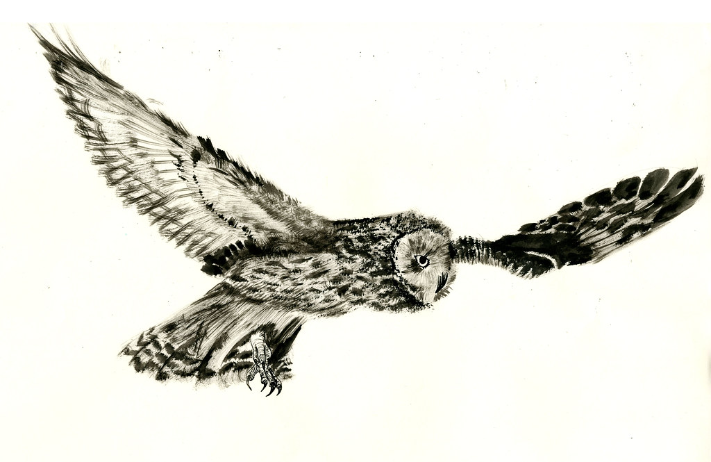 1024x665 The World's Best Photos Of Flight And Sketchbook