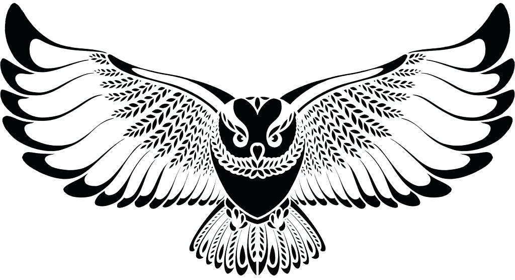 1024x556 Clipart Owl Easysurfer