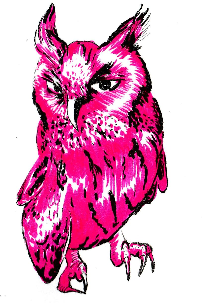 815x1225 Draw Anything You Like In Ink Or Pencil