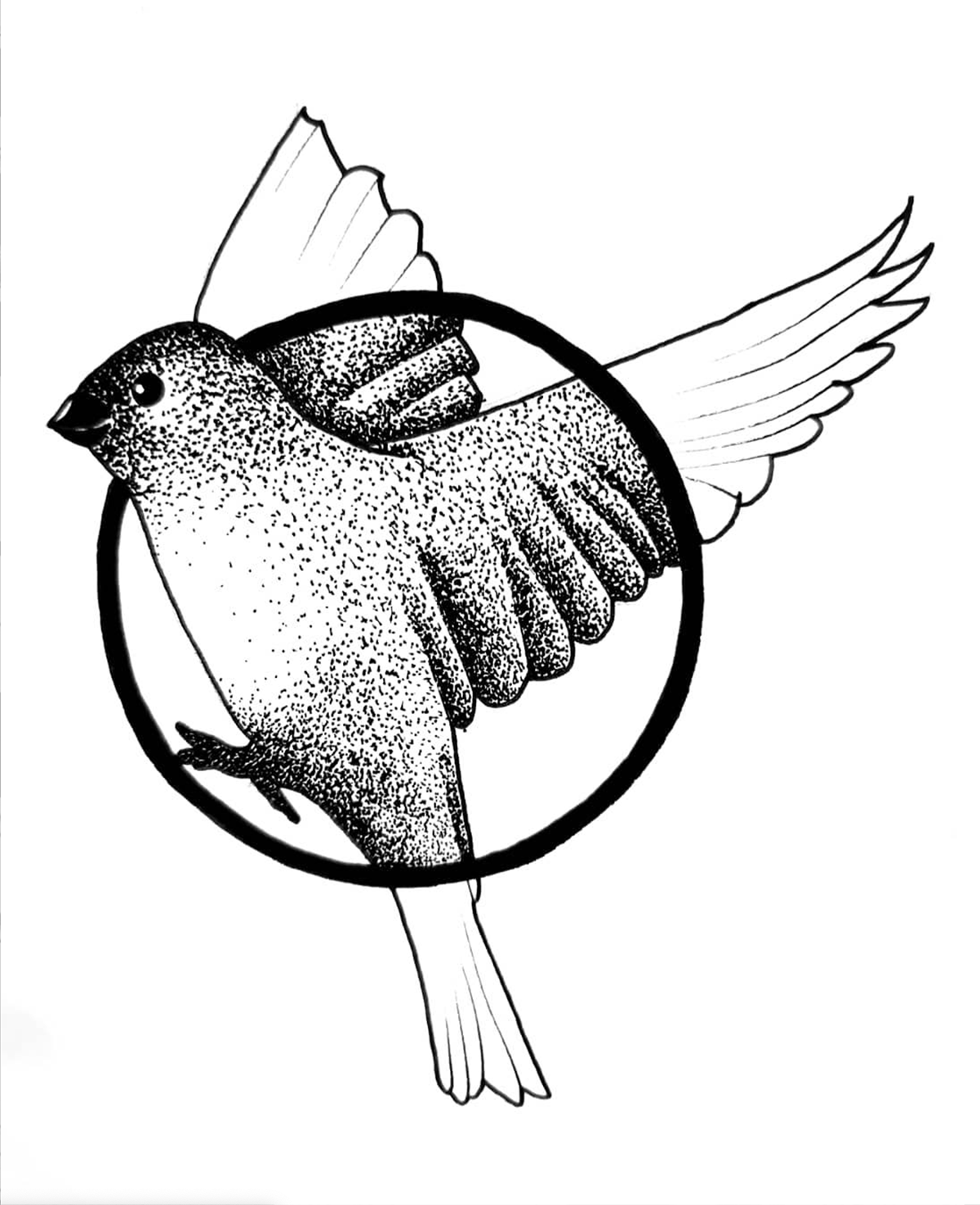 1200x1475 Ink Drawings On Behance