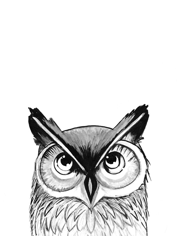 600x800 Owl Ink Painting