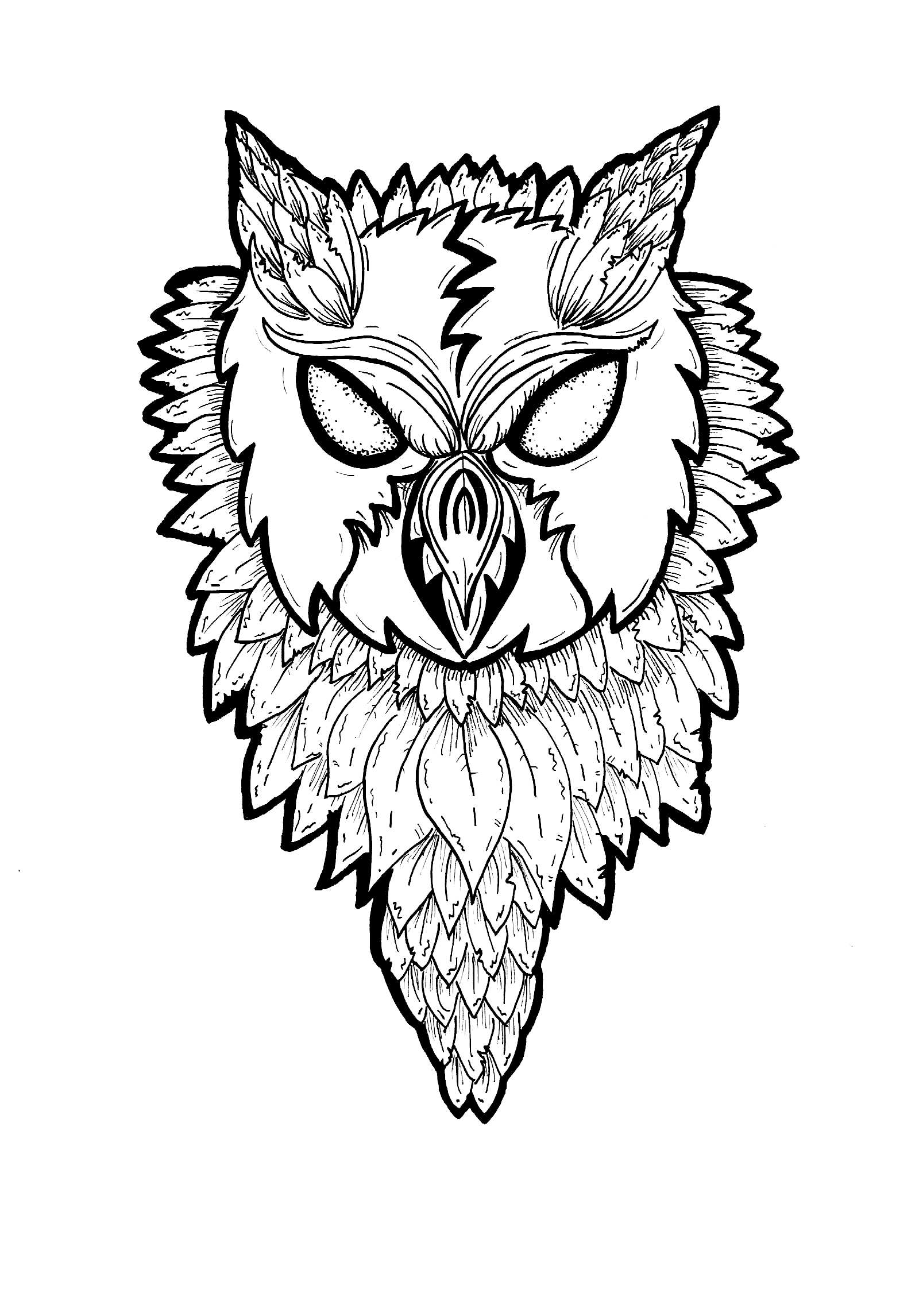 1600x2291 The Scowl Of An Owl Invokal Ink