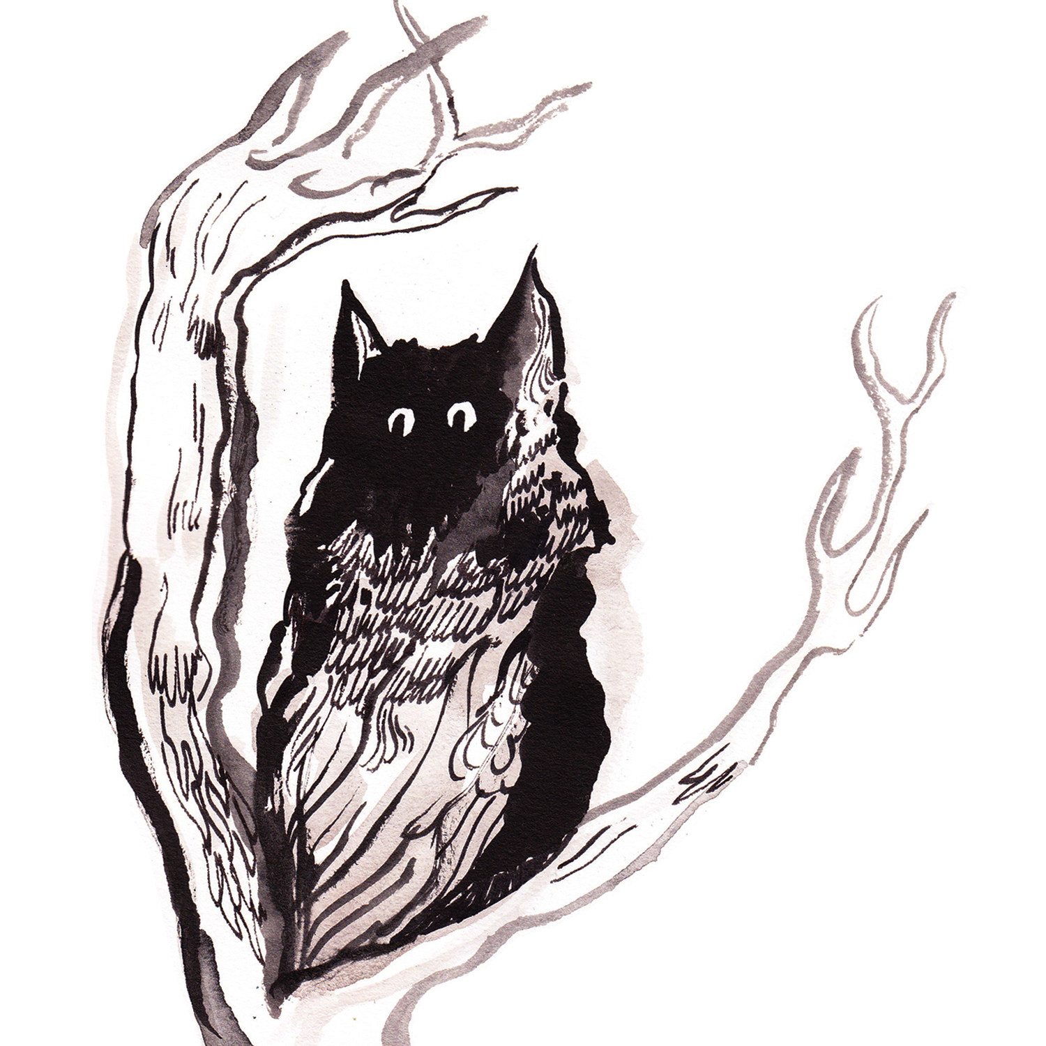 1500x1500 Indian Ink Owlstation