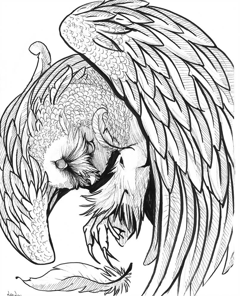 806x991 Pen And Ink Owl