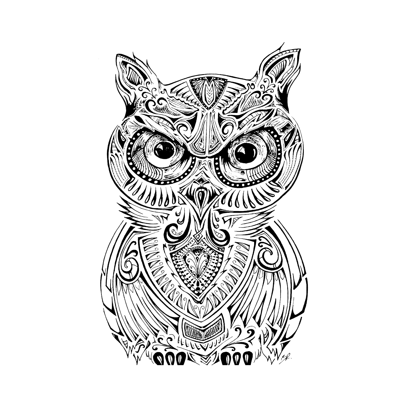 1400x1400 Big Eyed Anger