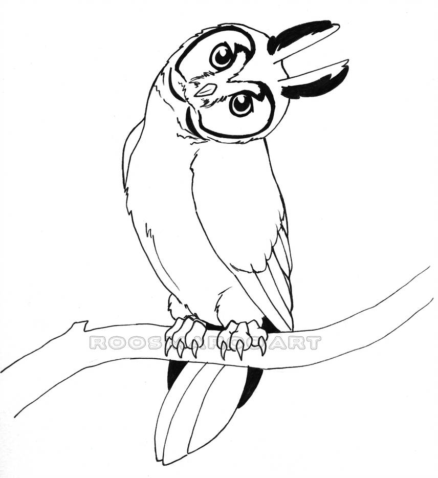 856x934 long eared owl line art