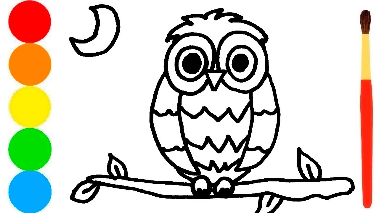 1280x720 Coloring For Kids With Owl On Branch And Drawing Video