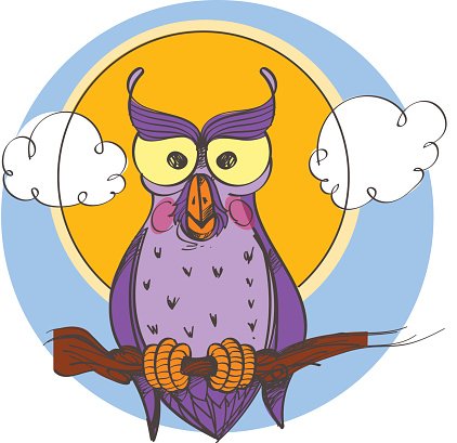 422x409 Owl On A Branch, Color Drawing In Cartoon Premium Clipart
