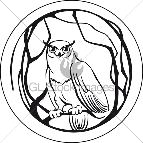 500x500 Black And White Owl Sitting On A Branch Tree Circular Gl Stock