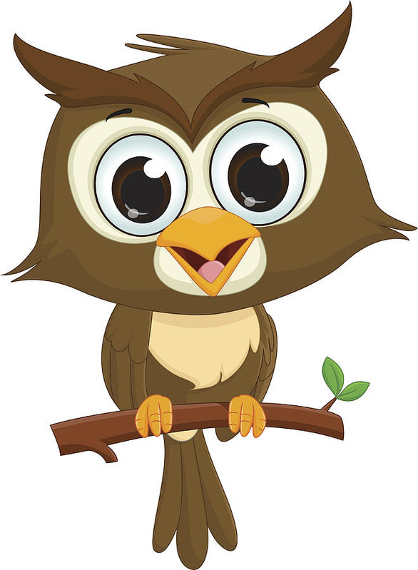 586x799 Cute Cartoon Owl Sitting On A Tree Branch Art Print