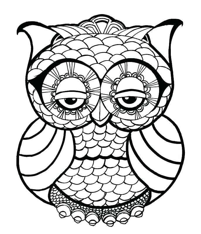 686x800 Owl Outline Drawing Owl Head Silhouette Owl Outline Drawing