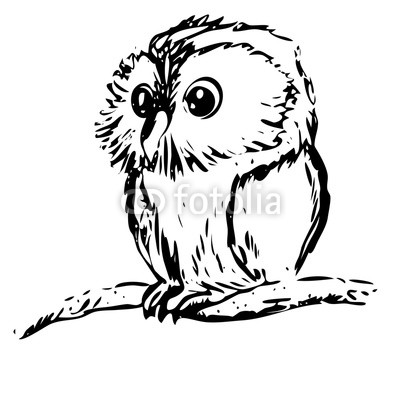 400x400 Vector Illustration Of An Owl Chick On A Branch Drawing An Ink