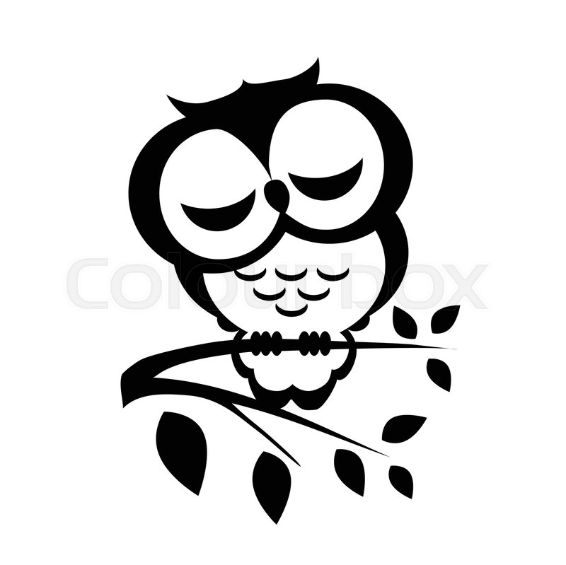 800x799 Vector Sleeping Owl Sitting On A Stock Vector Colourbox