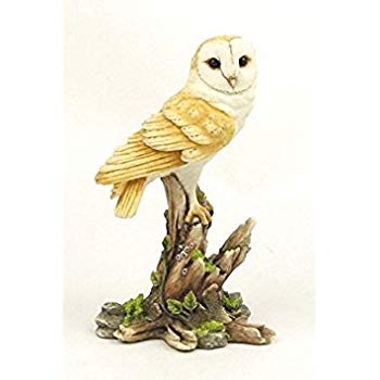 350x350 Inch Sweet Barn Owl On Branch Decorative Figurine
