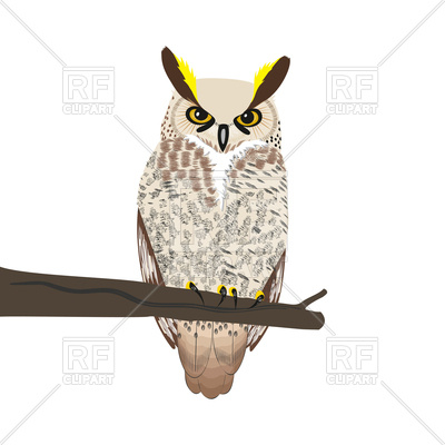 400x400 Owl Sits On A Tree Branch Isolated On White Background Vector