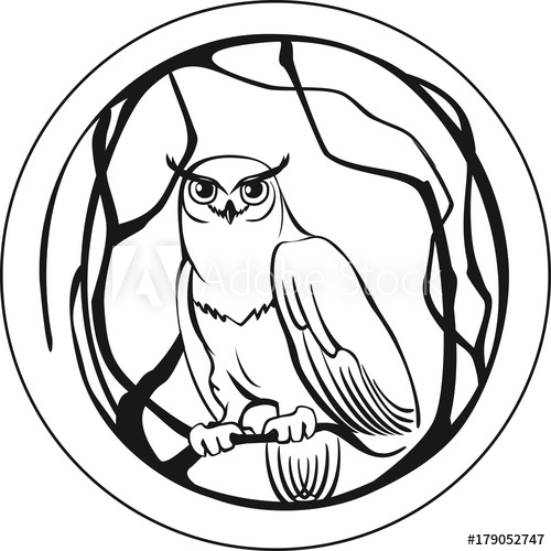 500x500 Black And White Owl Sitting On A Branch Tree Circular